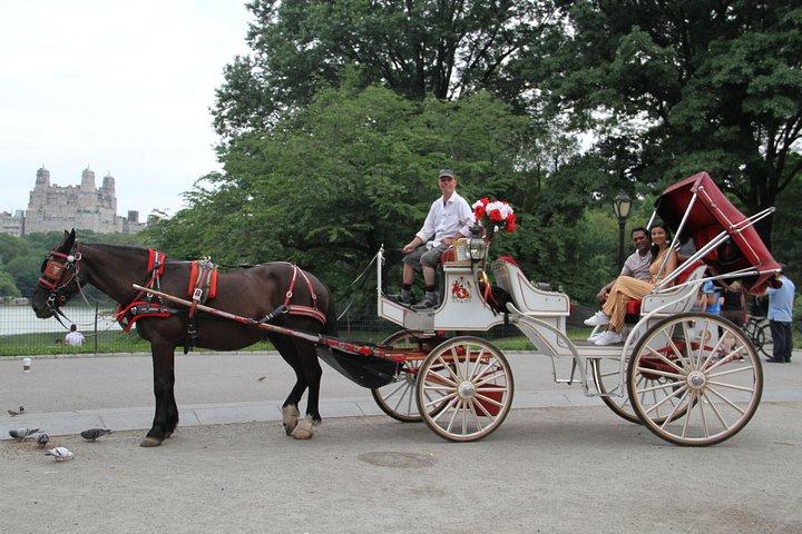 1979年以来、セントラルパークで開催されているNYCの公式馬車乗り物™