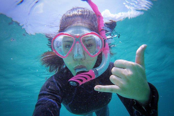 パタヤ PADI 初心者向けスキューバ ダイビング 1 回のダイビング深度 6 メートルとシュノーケリング )
