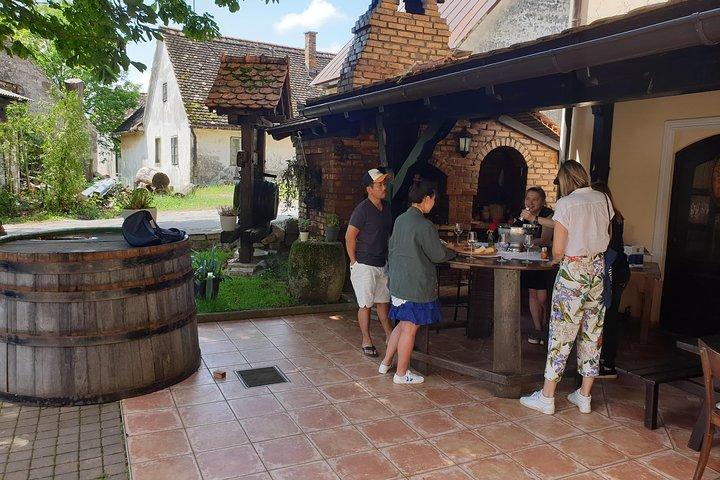 プレシヴィツァの田園地帯でのワインの試飲