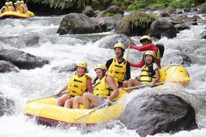 Ubud Water Rafting And Swing All Inclusive Private Guided Tour