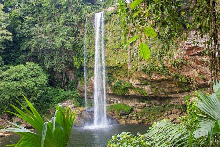 Cascate Agua Azul e Misol-ha