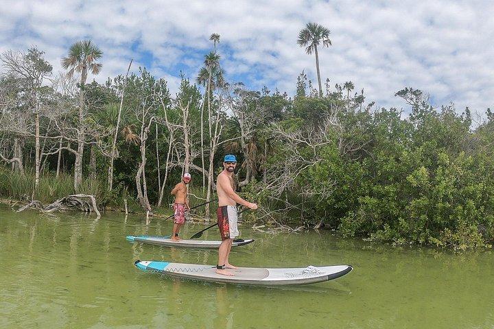 Expedition Lagoon - Paddleboard In Kaan Luum & Taco Stop Tulum