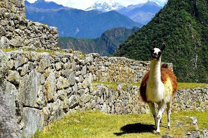 4-Day Inca Quarry Trek to Machu Picchu