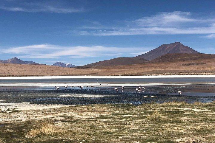 Stars+Sunrise - Uyuni (ENG GUIDE), ask availability, min 3 ppl available