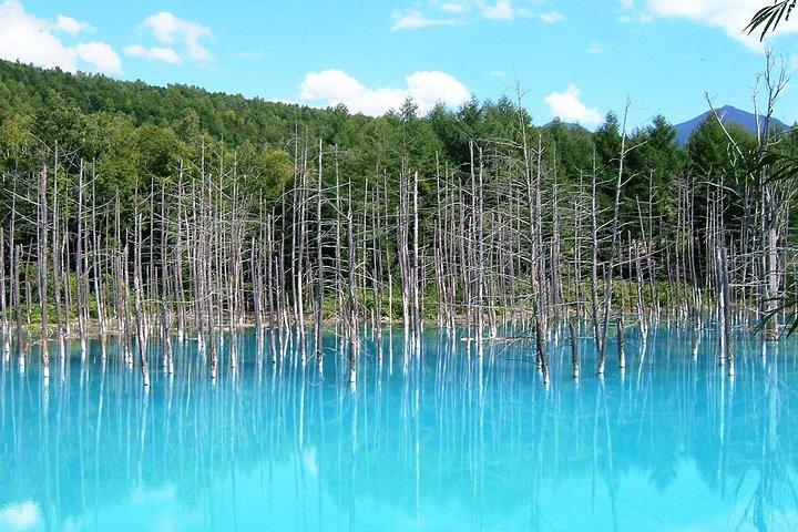 [Biei/Furano] Een dag sightseeing met eigen auto!