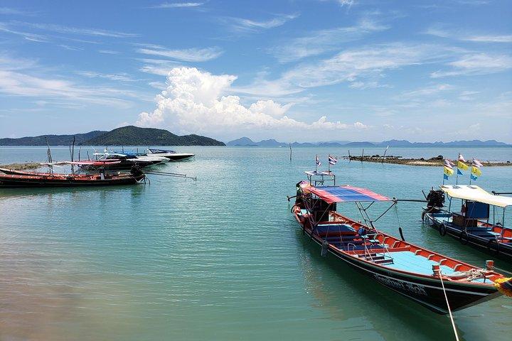 Half Day Pig Island and Snorkeling Experience