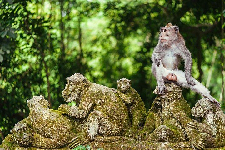 All inclusive Private 3 day tours package : Bali highlights