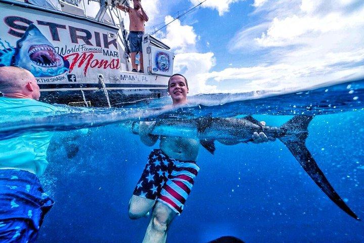 Miami Big Game Hochseeangel-Charter