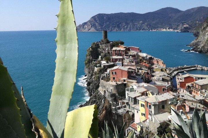 Cinque Terre com Vernazza Manarola e Corniglia de Livorno Cruise Port
