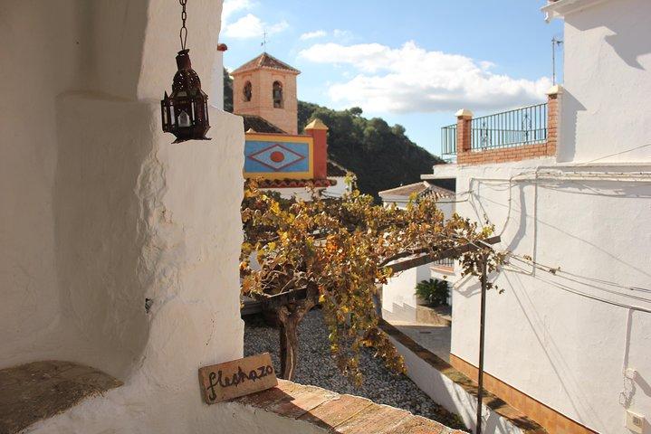 Tour dei villaggi bianchi nella zona di Nerja: Tour e pranzo per piccoli gruppi