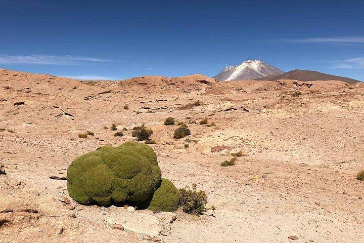 Stars+Sunset - Uyuni (ESP DRIVER/GUIDE), 1-2 ppl ask, min 3 ppl available
