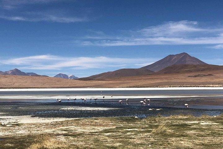 Stars+Sunset - Uyuni (ESP DRIVER/GUIDE), 1-2 ppl ask, min 3 ppl available