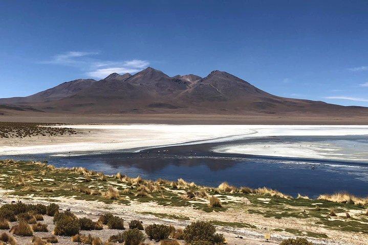 ウユニ塩湖2日1泊。 Engガイド。 Volcan Tunupa Ruta。空室状況を尋ねる