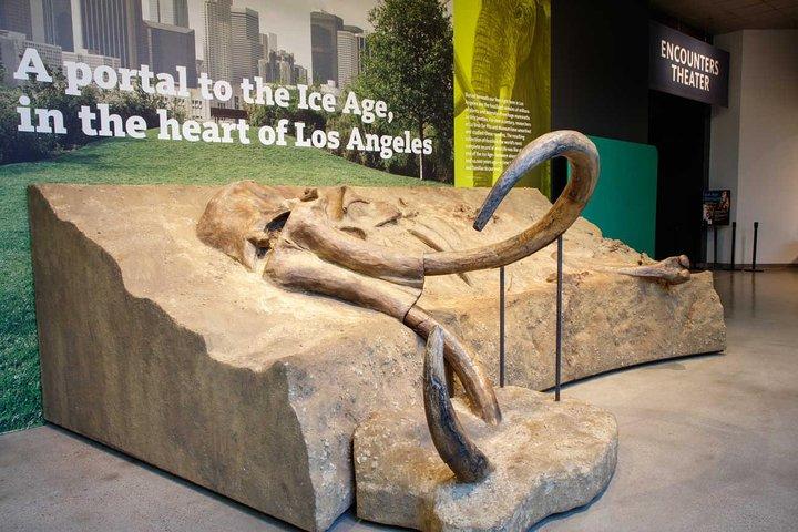 La Brea Teergruben und Museum Eintrittskarte mit Baggertour
