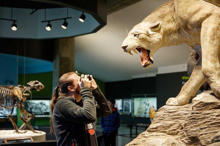 La Brea Teergruben und Museum Eintrittskarte mit Baggertour