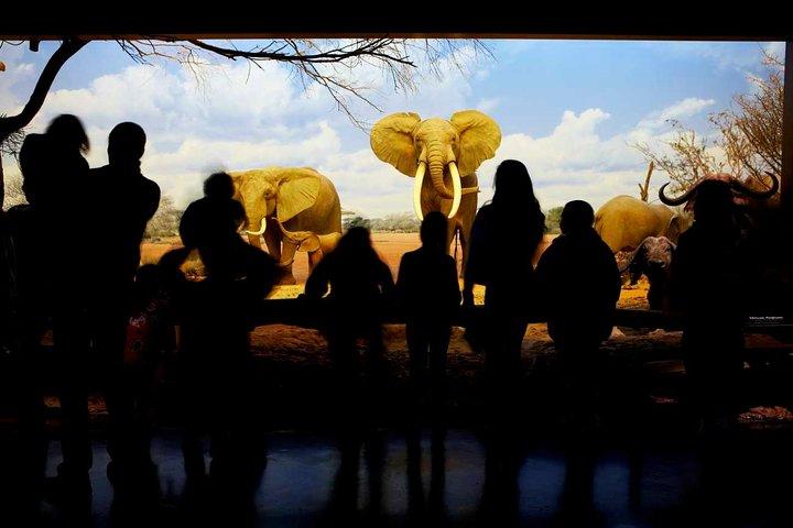 Museu de História Natural do Condado de Los Angeles