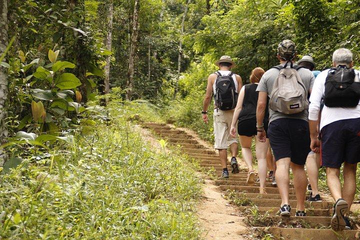 Trekking nella foresta pluviale di Paraty e tour appartato della spiaggia di Sono