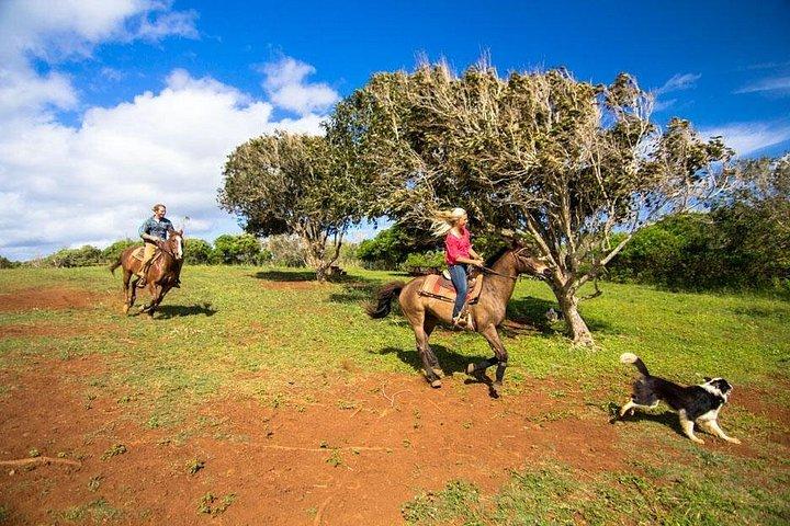 Private Advanced Trail Ride