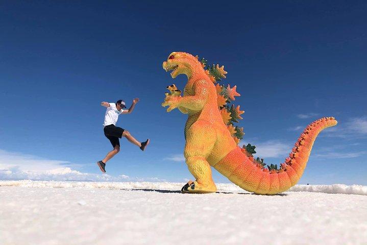 ウユニ塩湖2日1泊。 Engガイド。 Volcan Tunupa Ruta。空室状況を尋ねる