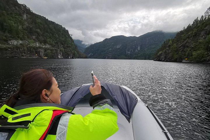 Stadt- oder Fjordkreuzfahrt mit Zodiac-Schnellboot oder Luxus-Pontonboot