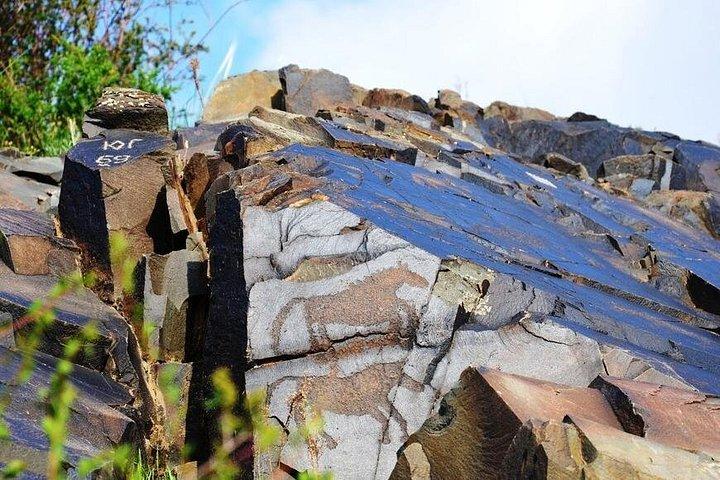 タンバリーの古代岩面彫刻 - ユネスコ世界遺産