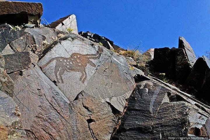 タンバリーの古代岩面彫刻 - ユネスコ世界遺産
