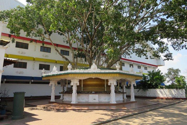 9-Days Sri Lanka Itinerary Tour (Private)