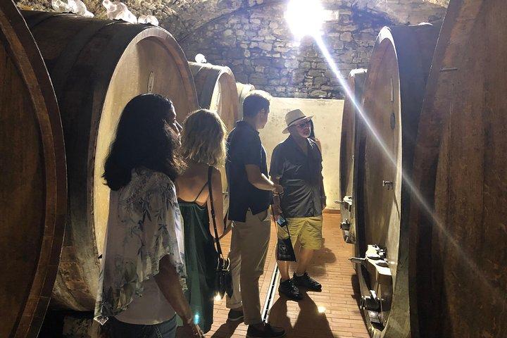 Tour privado del vino de Chianti.