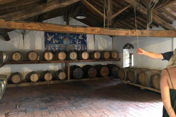 Tour privado del vino de Chianti.
