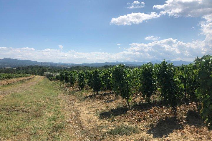 Tour privado del vino de Chianti.