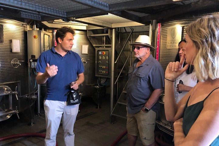 Private wine tour of Chianti