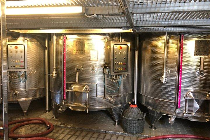 Private wine tour of Chianti