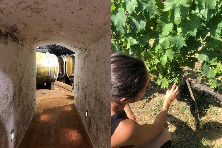 Private wine tour of Chianti