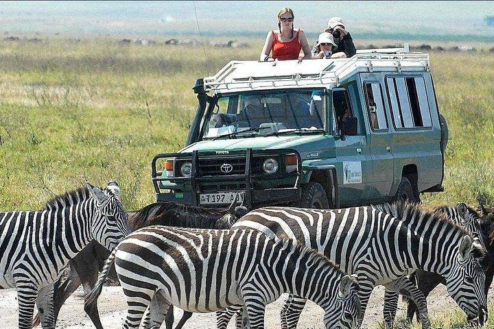 2 dagar gick med i gruppen Tarangire och Ngorongoro Crater National Park