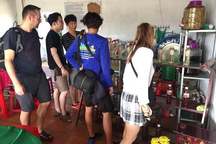 Dalat Coffee Tours
