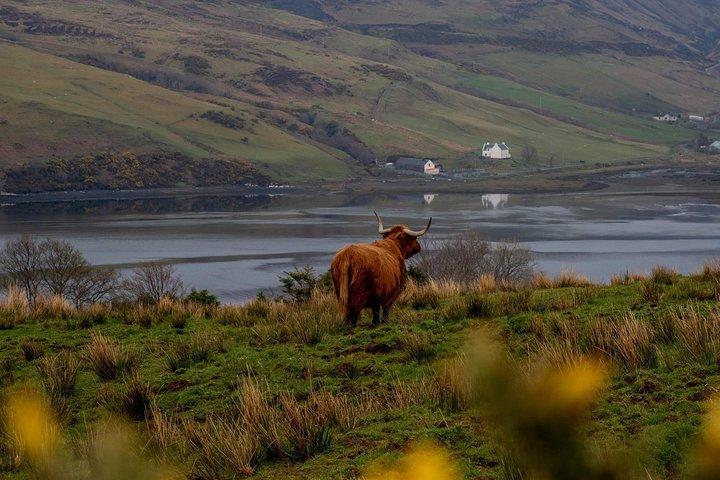 Tour dell'isola di Skye e delle fiabe