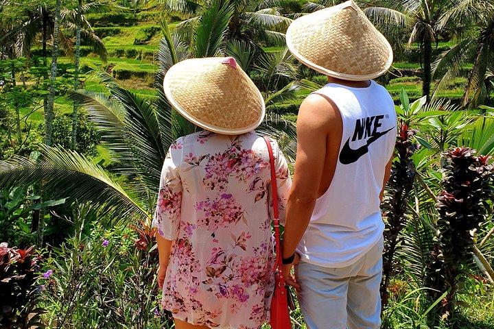 All inclusive Ubud private tour