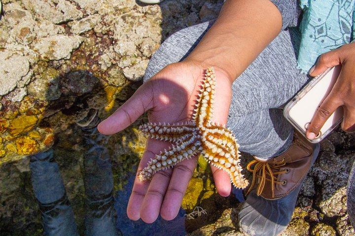 Descubre Arrábida: El Paraíso Secreto.