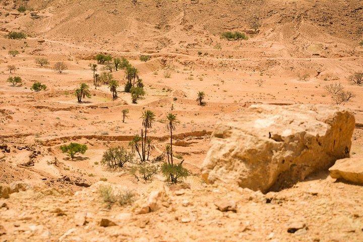Tozeur and the mountain Oasis