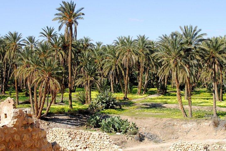 The three desert and mountain oases