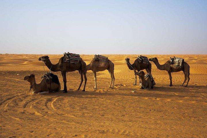 The three desert and mountain oases