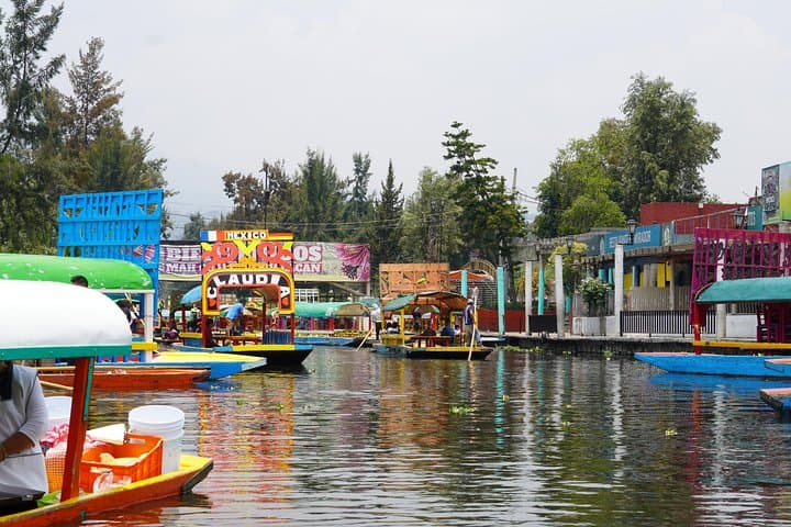 Xochimilco & Coyoacan with Frida Kahlo Private Tour