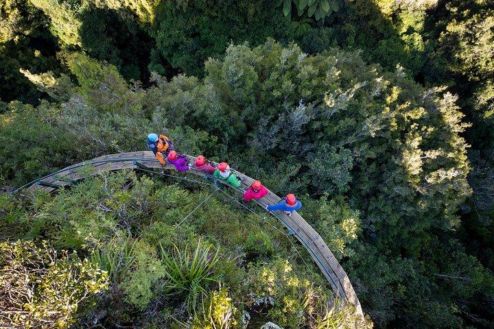 Rotorua’s Ultimate Zipline : 6 tyroliennes, 400 m Tandem, Cliff Walk