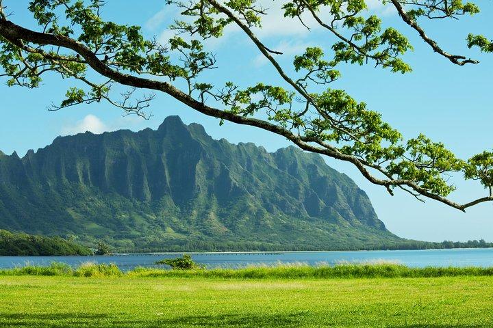 Visite privée de l'île du Cercle vert et bleu Oahu (se habla espanol)
