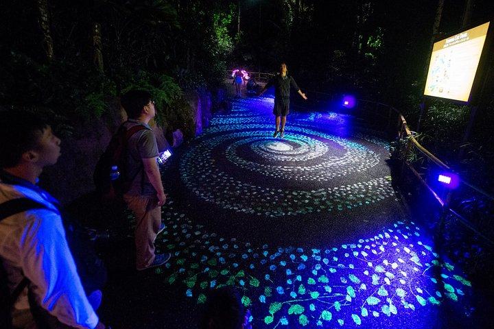 Singapore River & Night Safari-COMBO (gemeinsamer Transfer)