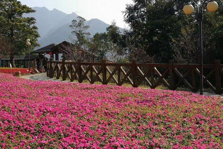 Liuxihe National Forest Park Tour privato di un giorno da Guangzhou