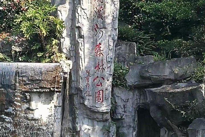 Liuxihe National Forest Park Tour privato di un giorno da Guangzhou