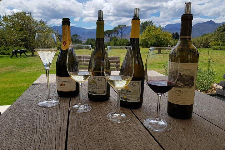 Individuelle private Weintour