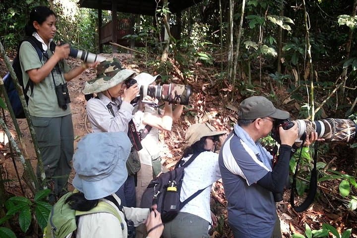 Fraser’s Hill Bird Watching & Nature Tour from Kuala Lumpur