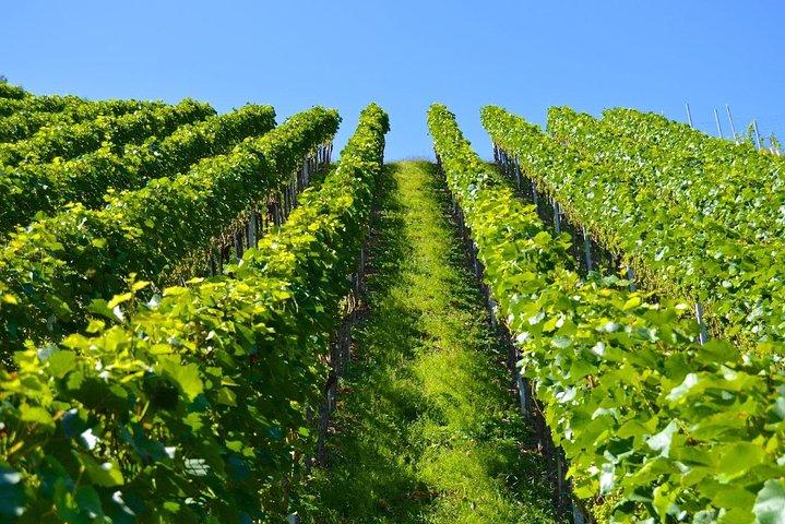 Historisk Athens & Wine Tour i Nemea om 8 timer